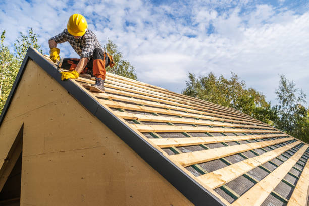 Best Storm Damage Roof Repair  in Murray, KY